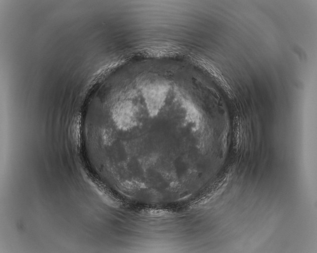 X0000112170590200908281341