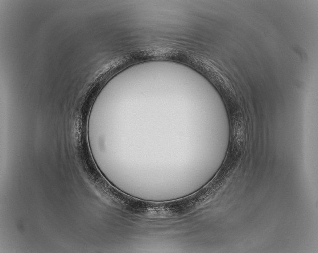 X0000112170591200908281341