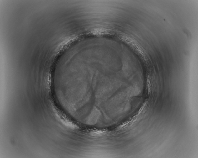 X0000112170592200908281341