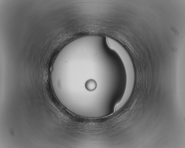 X0000112170593200908281341