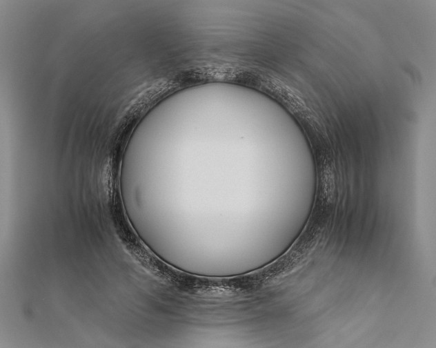 X0000112170594200908281341