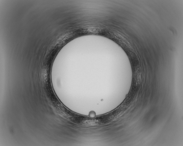 X0000112170595200908281341