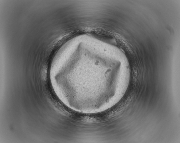 X0000112170596200908281341