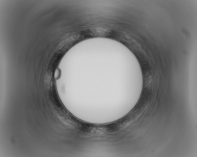 X0000112170599200908281341