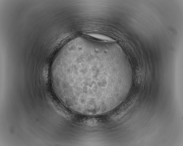 X0000112170600200908281341