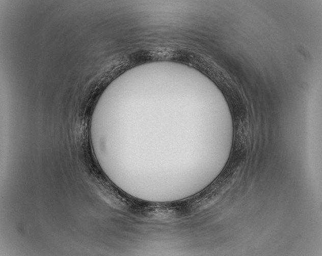 X0000112170601200908281341