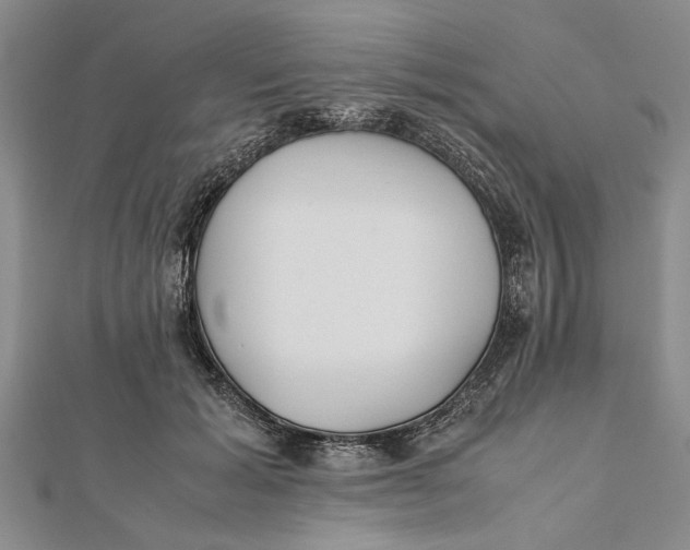 X0000112170605200908281341