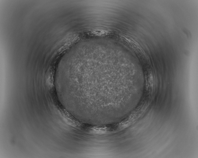 X0000112170606200908281341