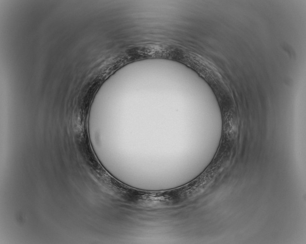 X0000112170607200908281341