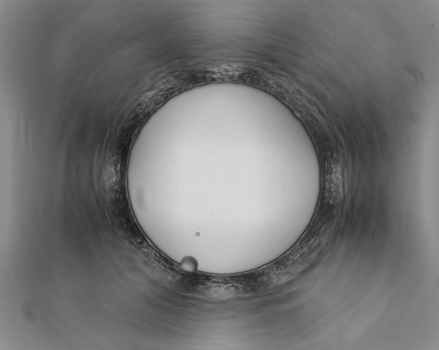 X0000112170608200908281341