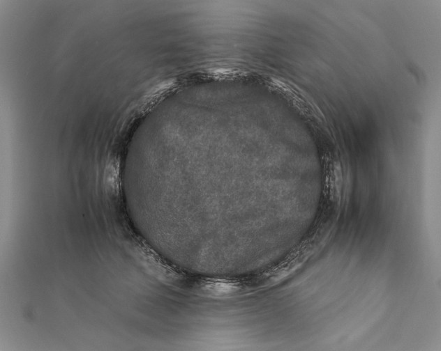 X0000112170610200908281341