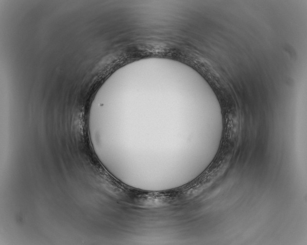 X0000112170612200908281341