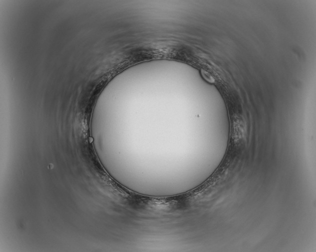 X0000112170613200908281341