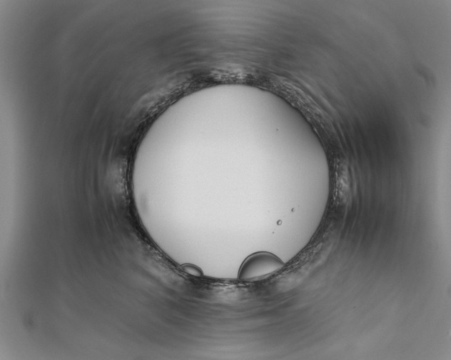 X0000112170616200908281341