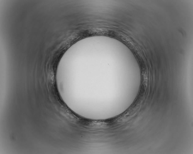 X0000112170617200908281341