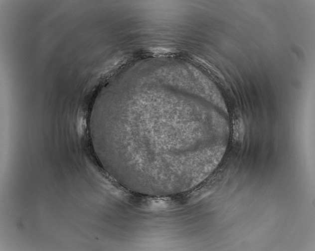 X0000112170618200908281341