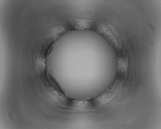 X0000112170621200908281341