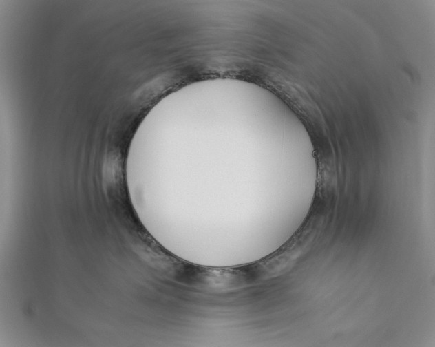 X0000112170623200908281341