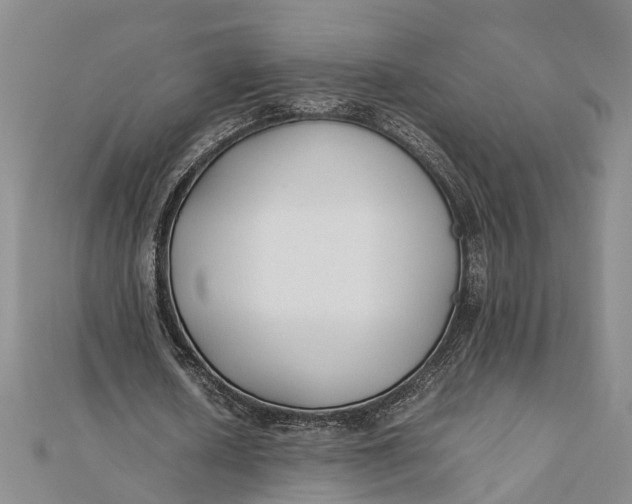 X0000112170626200908281340