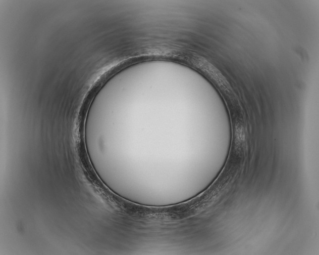 X0000112170628200908281340