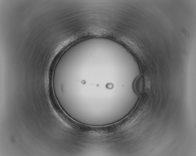 X0000112170630200908281340