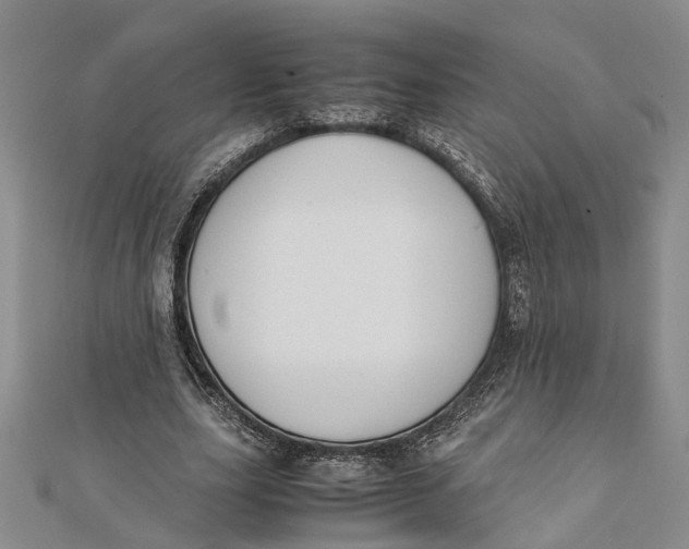 X0000112170631200908281340