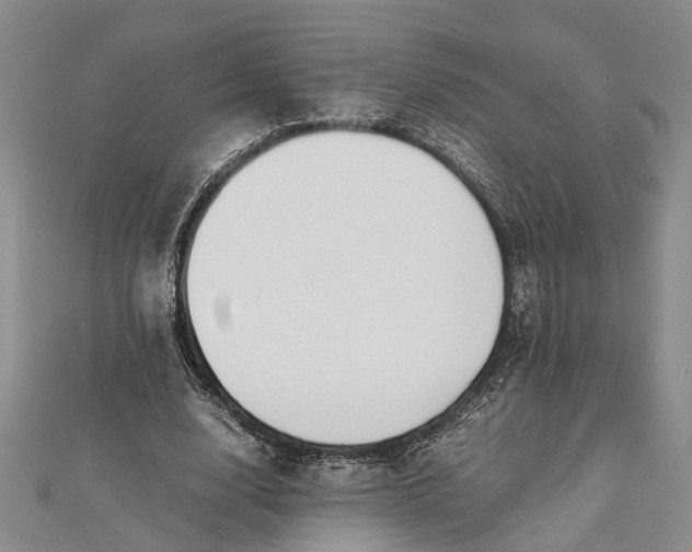 X0000112170632200908281340