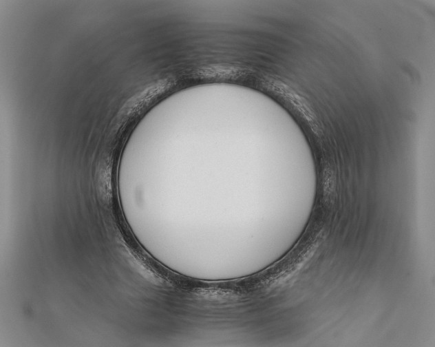 X0000112170633200908281340