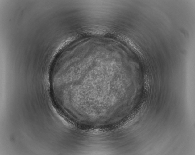 X0000112170634200908281340