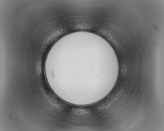 X0000112170635200908281340