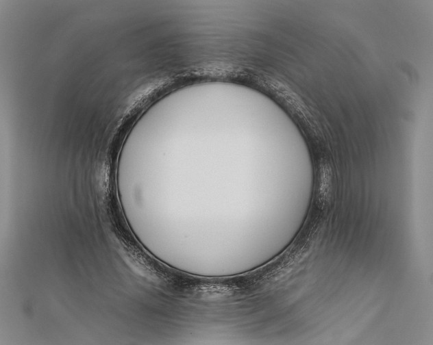 X0000112170636200908281340