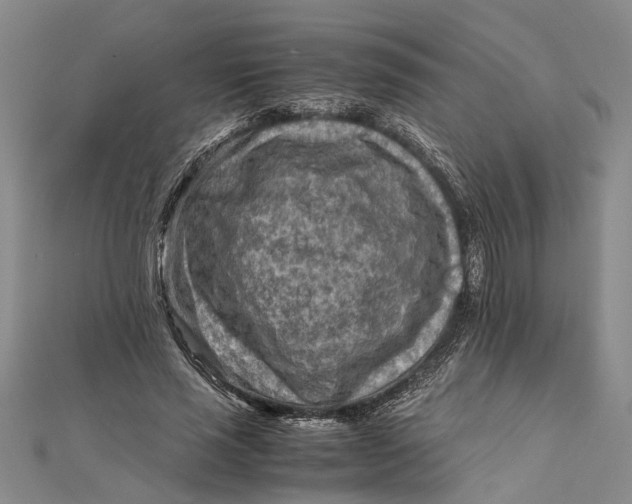 X0000112170637200908281340