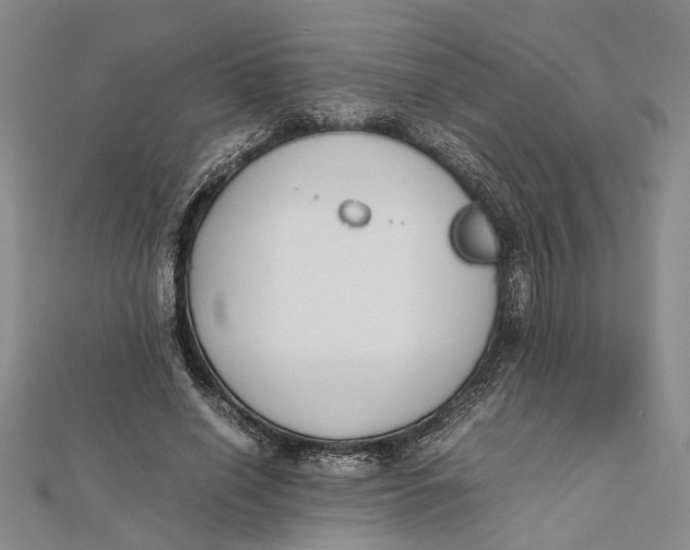 X0000112170638200908281340