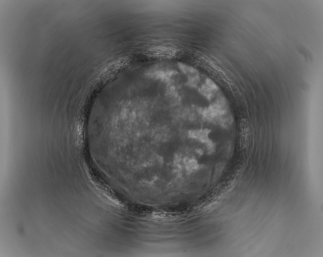 X0000112170641200908281340