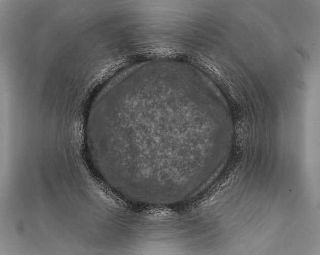 X0000112170642200908281340