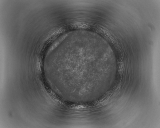 X0000112170643200908281340