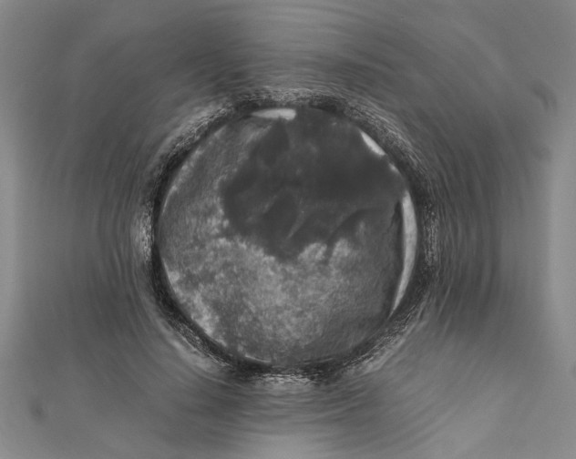 X0000112170644200908281340