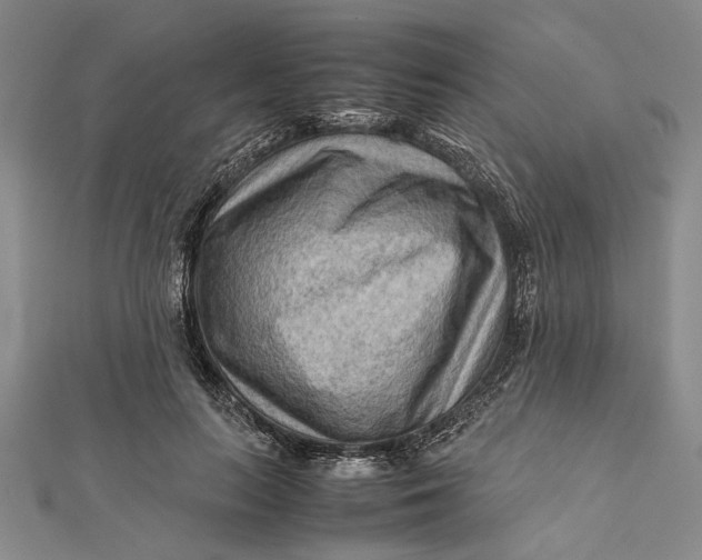 X0000112170647200908281340