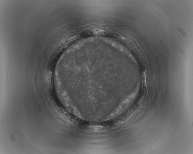 X0000112170650200908281340