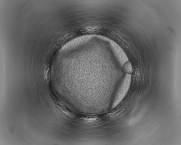 X0000112170651200908281340