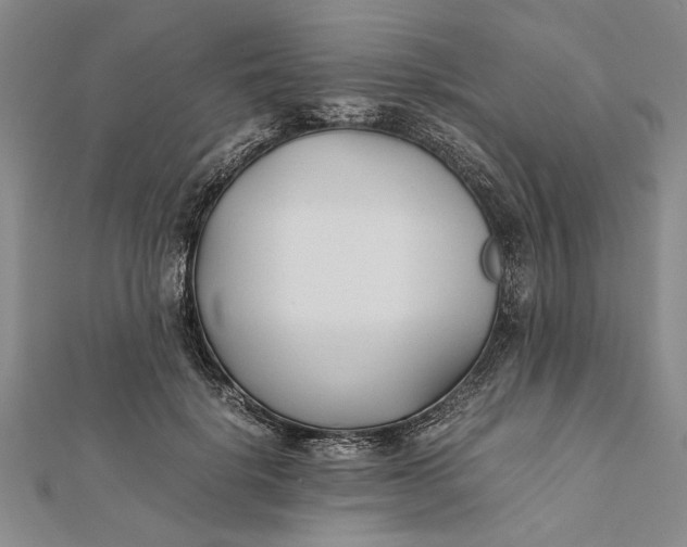 X0000112170652200908281340