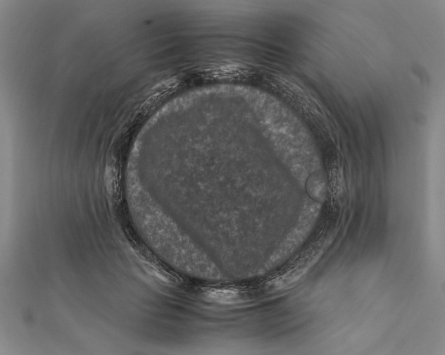 X0000112170653200908281340