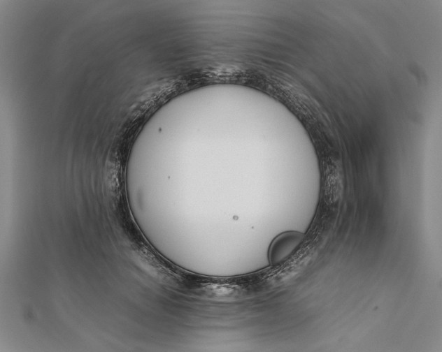 X0000112170654200908281340