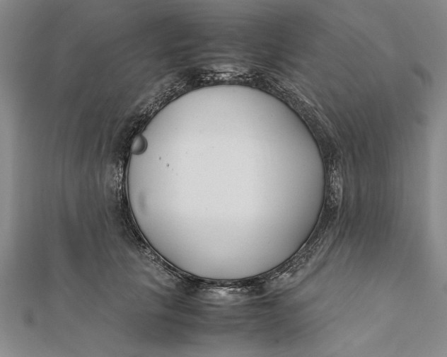 X0000112170657200908281340