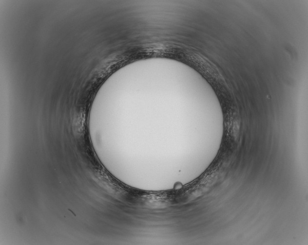 X0000112170660200908281340