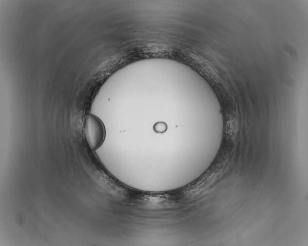 X0000112170662200908281340