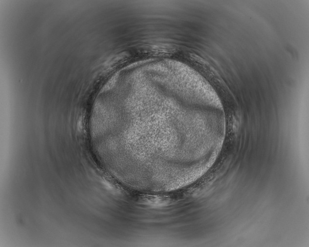 X0000112170663200908281340