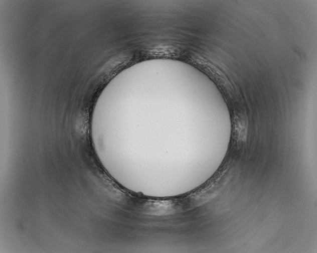 X0000112170665200908281341