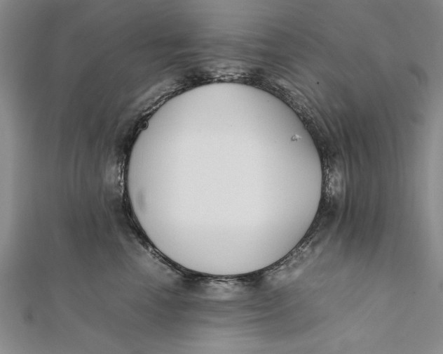 X0000112170666200908281341