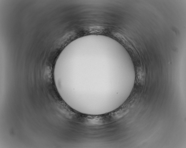 X0000112170667200908281341